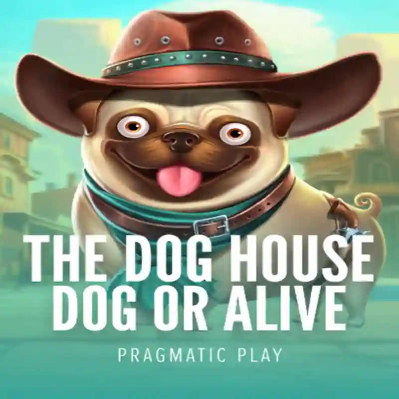 Dog House Dog & Alive slot casino
